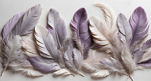 Design Studio 3D Feathers AG-FT-005