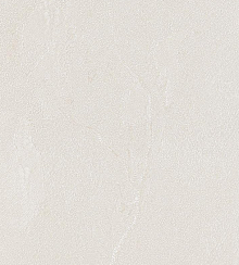 Bernardo Bartalucci Gaga  84284-5